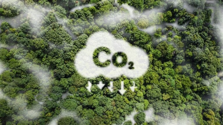 Berechnung des CO2-Fußabdrucks eines Unternehmens